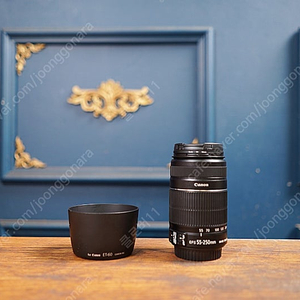 캐논 EF-S 55-250mm(18만원)