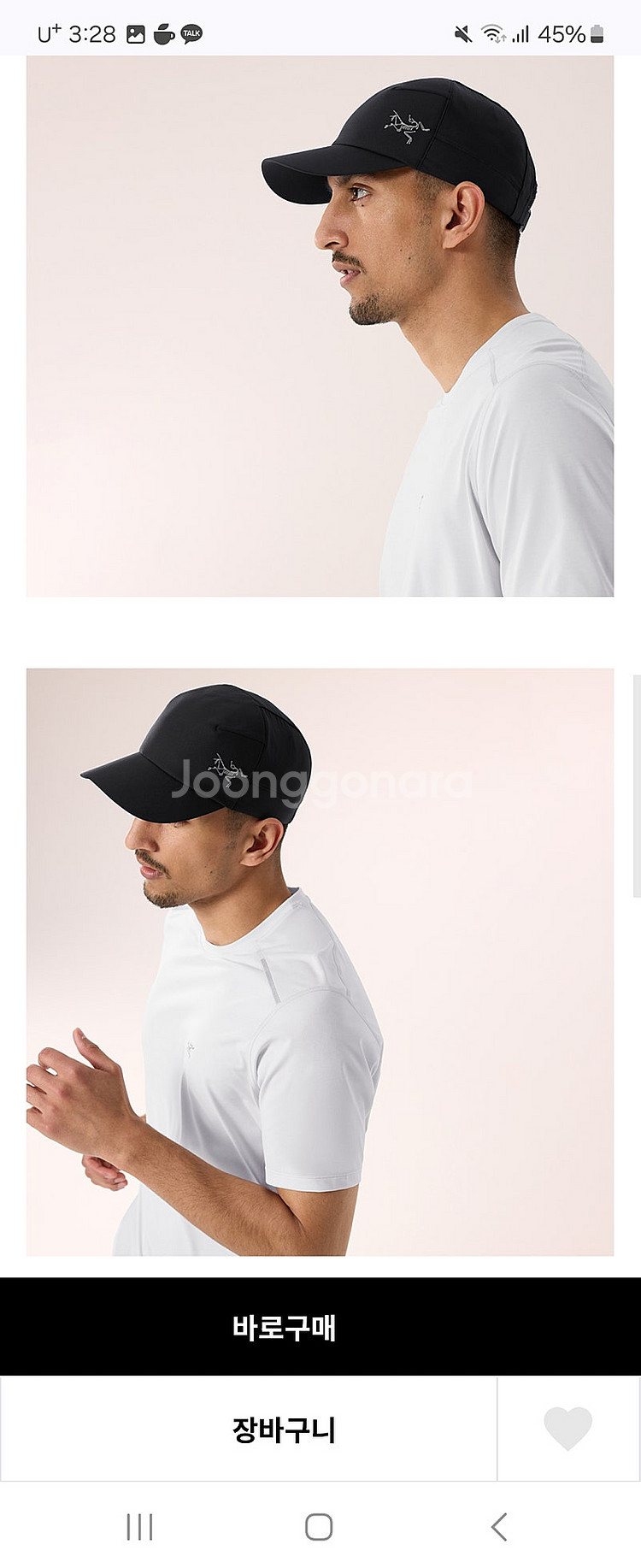 아크테릭스 칼보스캡--1