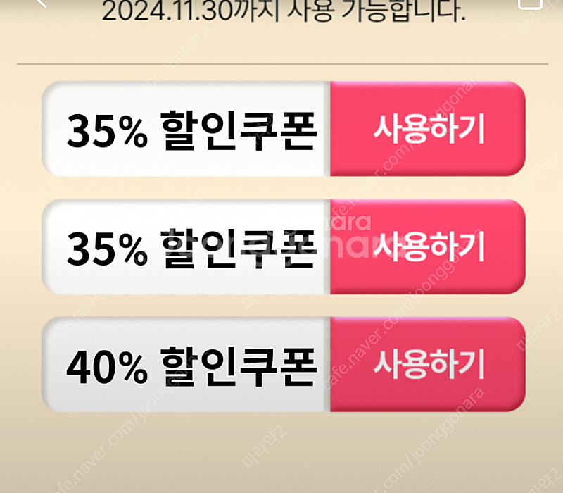 에버랜드 종일권--0