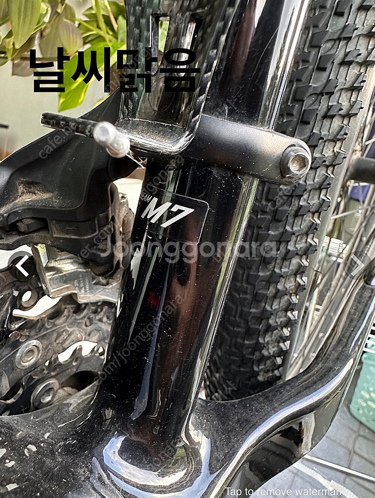 스타카토 카본MTB자전거--0