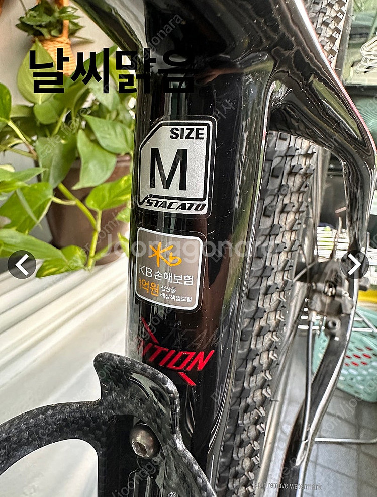 스타카토 카본MTB자전거--4