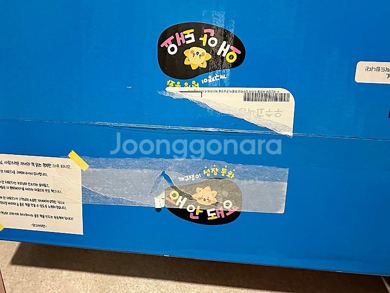 망고라이언 왜 안돼요--1