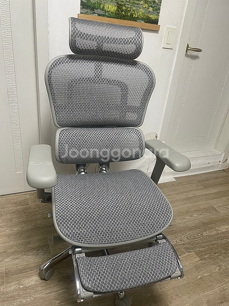 에르고휴먼 h2 + 정품 아틀라스 헤드레스트--1