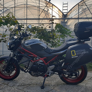 SV650