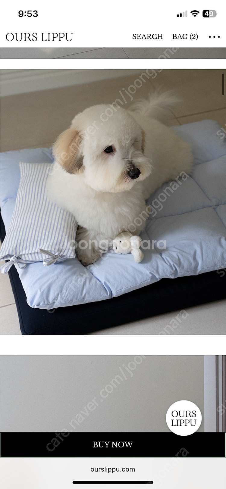 아우스리푸 스퀘어 배딩 세트--0