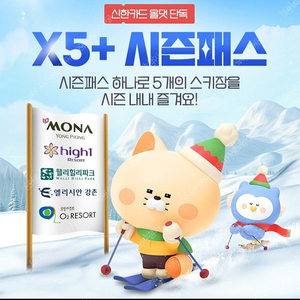 x5 시즌권 팔아요. 강촌. 용평. 하이원. 웰리힐리. 오투