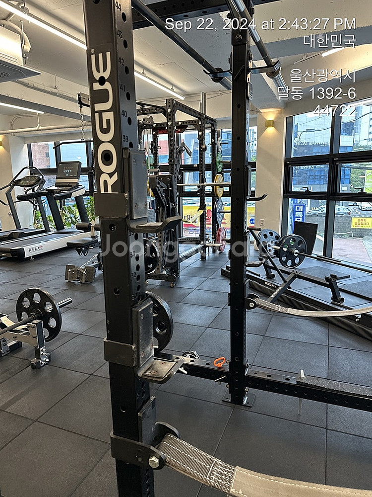 로그 파워랙 ROGUE RML _ 690C 모노리프트 랜드마인 원판거치대 등등 일괄 판매 - 울산 ---0