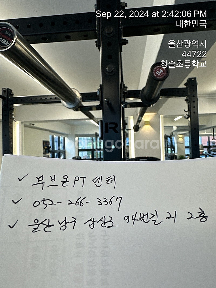 로그 파워랙 ROGUE RML _ 690C 모노리프트 랜드마인 원판거치대 등등 일괄 판매 - 울산 ---5