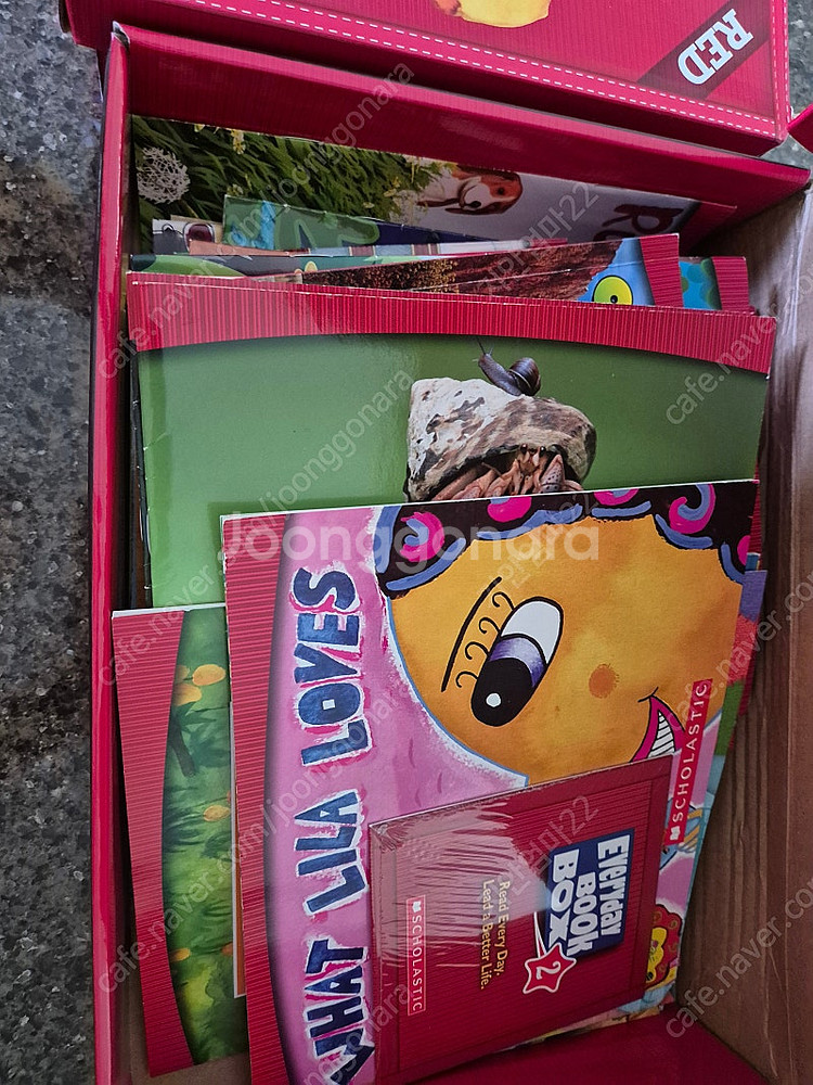 ebb(everyday book box) red 1,2...--2