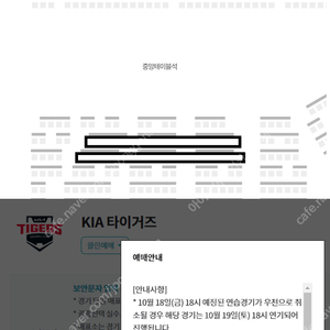 KIA 기아 타이거즈 청백전 중앙 테이블석 2인 2~3열 연석 양도