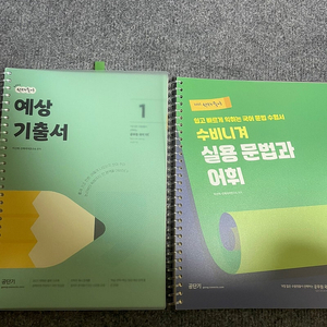 선재국어 예상기출서1 + 수비니겨 실용문법과 어휘 + 권규호 신유형국어의정석