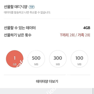 SKT 데이터 2GB 2기가 일관 3,000원