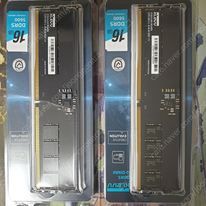 [부산] Essencore klevv ddr5-5600 32gb(16gx2)