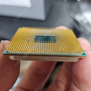 amd 라이젠5 5600G