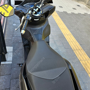 Pcx 2022년