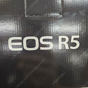 캐논 eos r5 팝니다