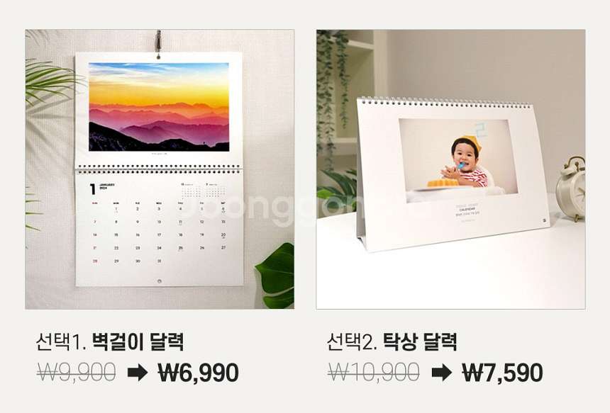 제라늄 제우스의꽂 갈리나울라노바 에바플라이--1