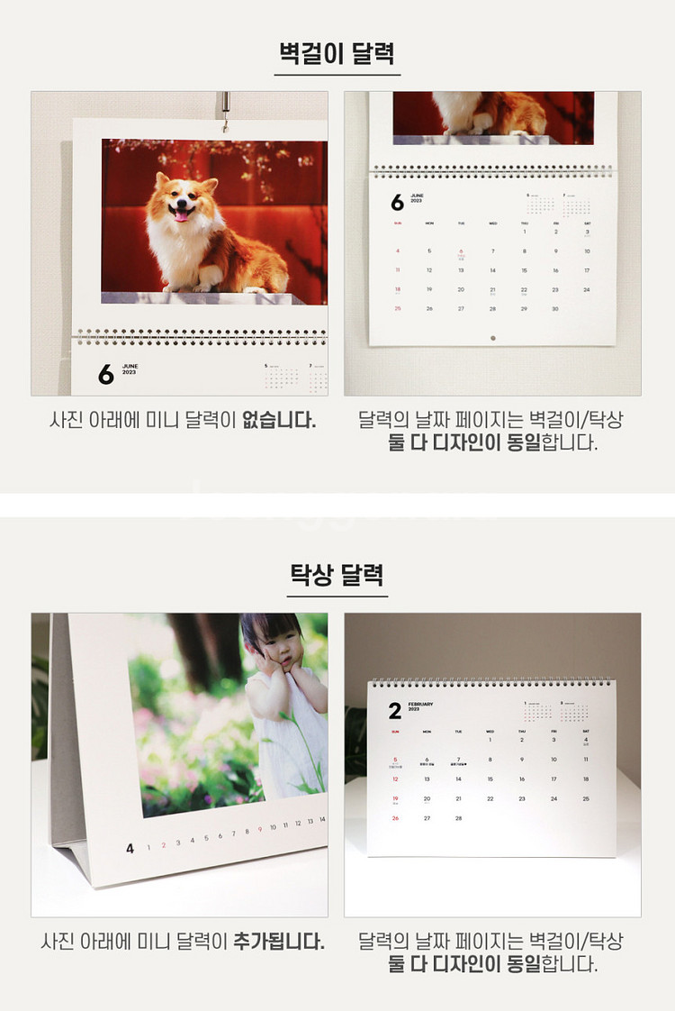 제라늄 제우스의꽂 갈리나울라노바 에바플라이--5