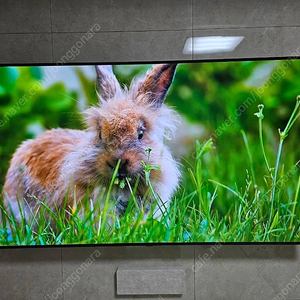 LG OLED 77인치 벽걸이 TV (OLED77A2KNA)