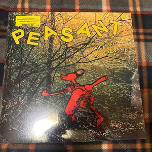 리차드 도슨 ﻿Richard Dawson - Peasant LP