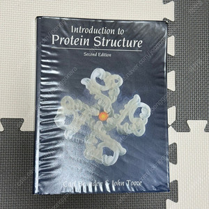 구조 단백질학 원서 판매 (Introduction to protein structure second edition)