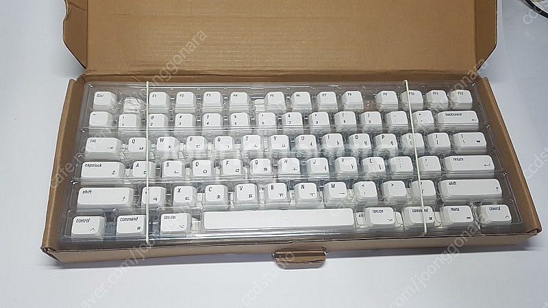 체리 키보드 127키 영어 한국어 Cherry MX 1...--0