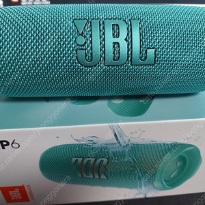 jbl flip6 플립6 민트색