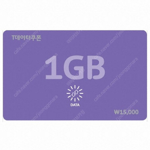 SK텔레콤 T데이터쿠폰 1GB