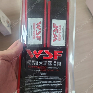 wsf스트랩