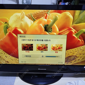 LG X캔버스 LCD TV 42LH31FD