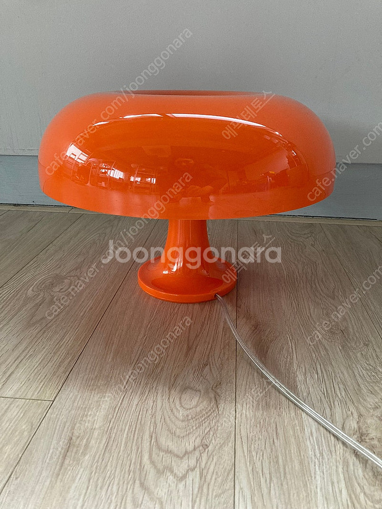 아르떼미데 네시노--0