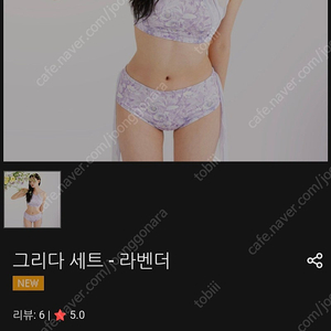 폴웨어 판매(린옴즈_그리다)