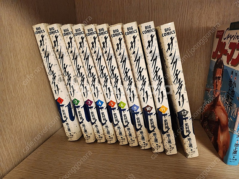 빛과그림자 (일본제목 생츄어리) 만화책 판매합니다. 원...--3