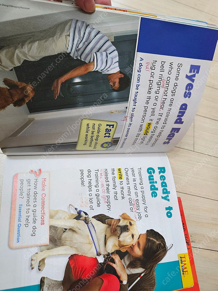 미국교과서 원더스(슈퍼맘) 이미지