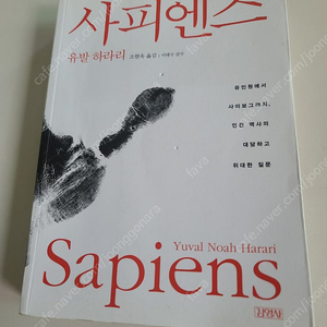 사피엔스