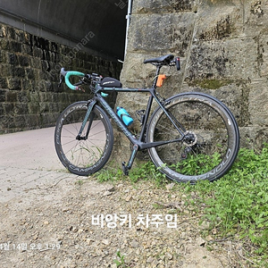 보라 울트라5.0