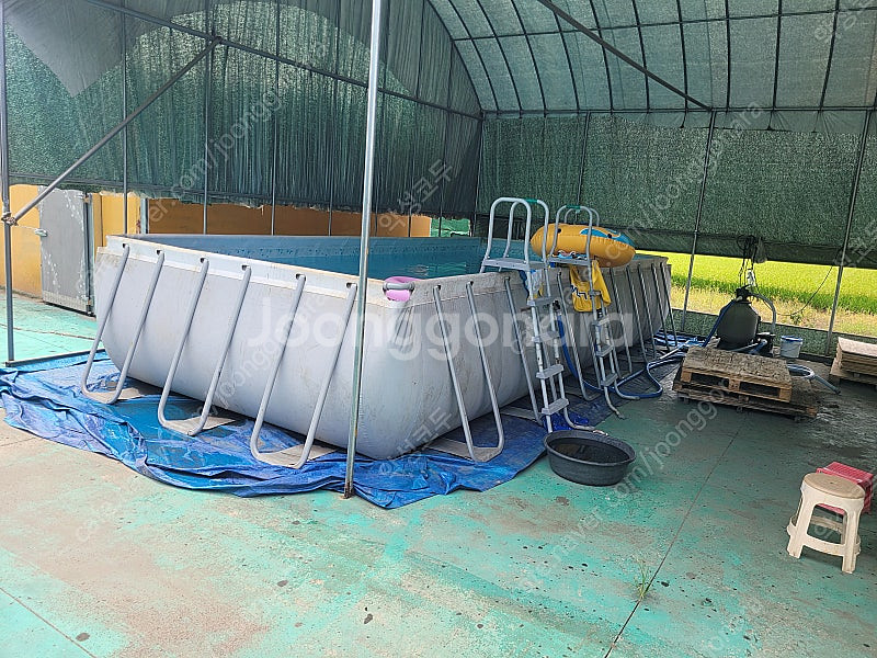 베스트웨이 중고 초대형 수영장 풀장 732 X 366 X 132 베스트웨이 BW56474 여과기포함--1