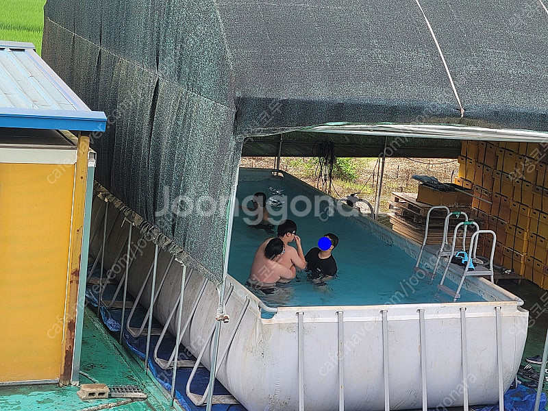 베스트웨이 중고 초대형 수영장 풀장 732 X 366 X 132 베스트웨이 BW56474 여과기포함--4