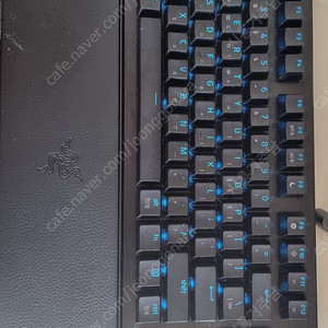 레이저 헌츠맨 V3 PRO TKL (공방풀윤활)