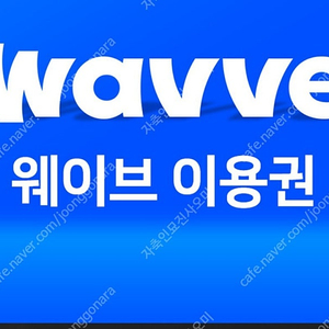 wavve 프리미엄 1년 134,000원 판매 (6개월 67,000)