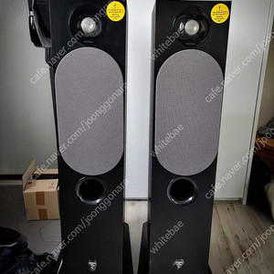 포칼 코라816 focal chora816 스피커 판매