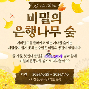 에버랜드 비밀의 은행나무숲 11/2(토) 13:00 성인 2인