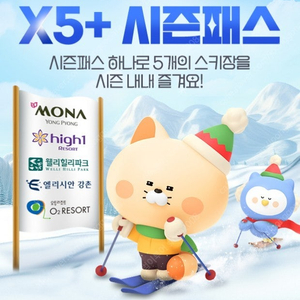 X5시즌 패스권~홍천오션월드*2만4천 최저가~춘천삼악산케이블카