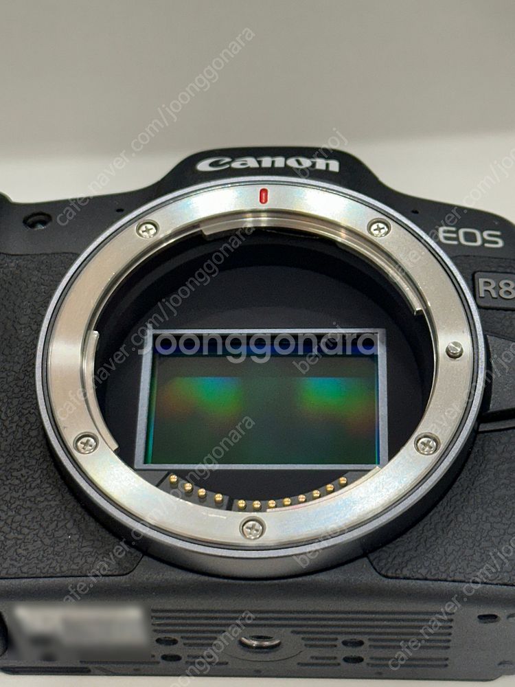 [가격인하] EOS R8 // RF 24-70, 247...--5
