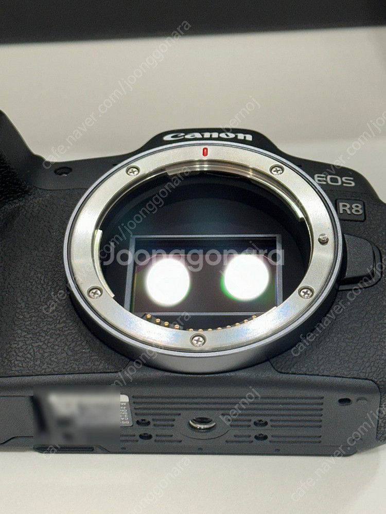 [가격인하] EOS R8 // RF 24-70, 247...--7