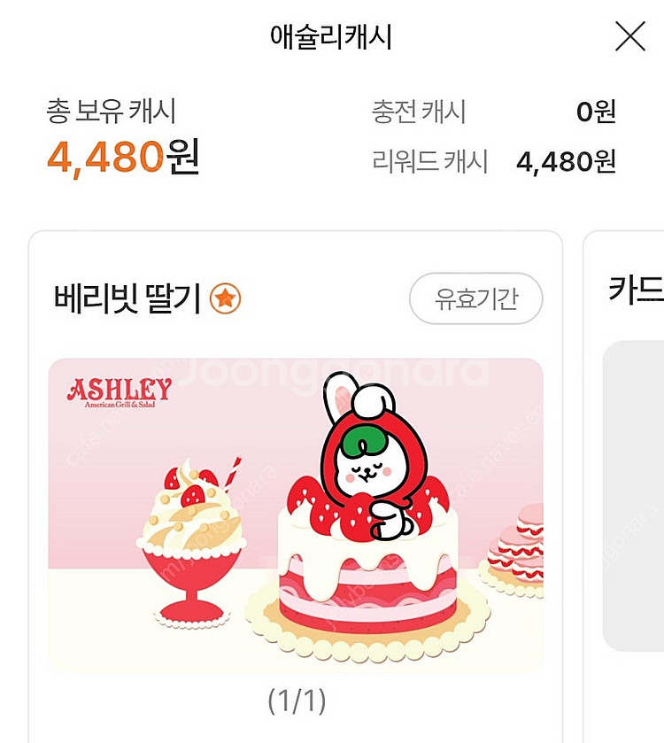 애슐리캐시/오늘~내일 VIP혜택나눔해요(우선예약/테이블...--0