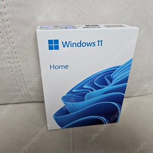 윈도우11 홈 windows11 usb포함