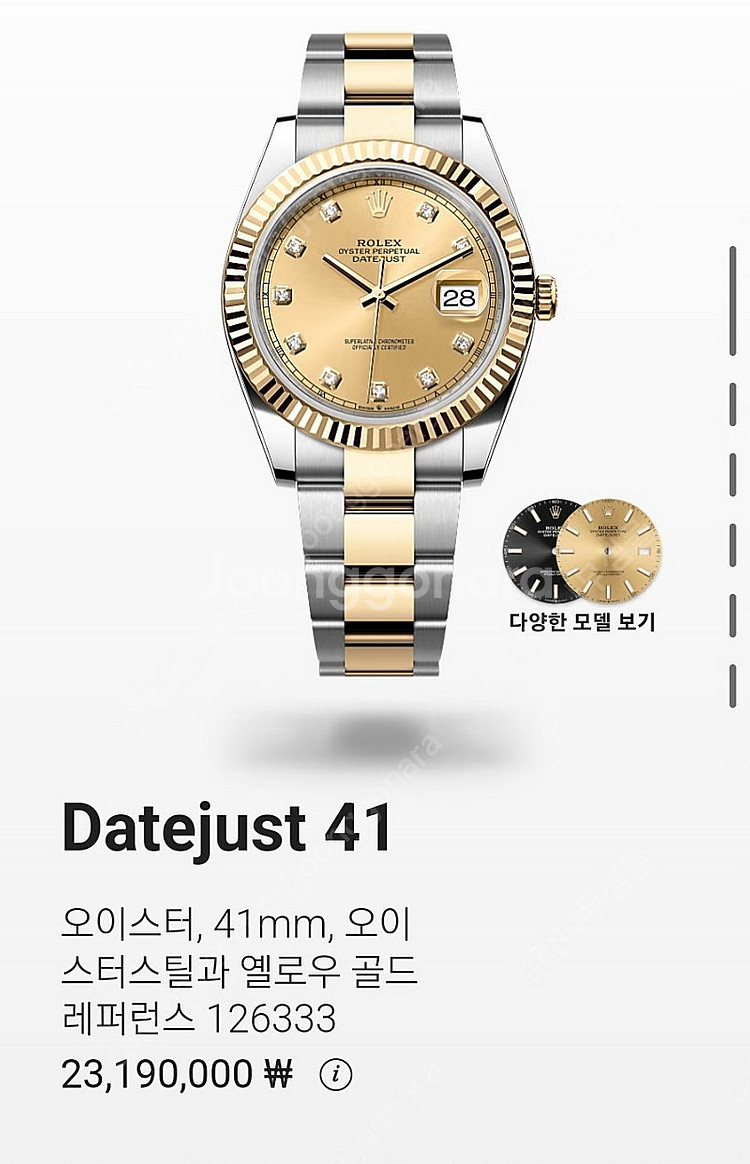 로렉스 데이저스트41 텐포인트 오이스터 옐로우골드--2