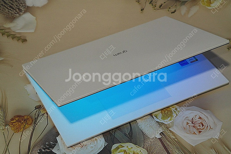LG전자 울트라그램16 16ZD90P-GX5TK 판매합...--2
