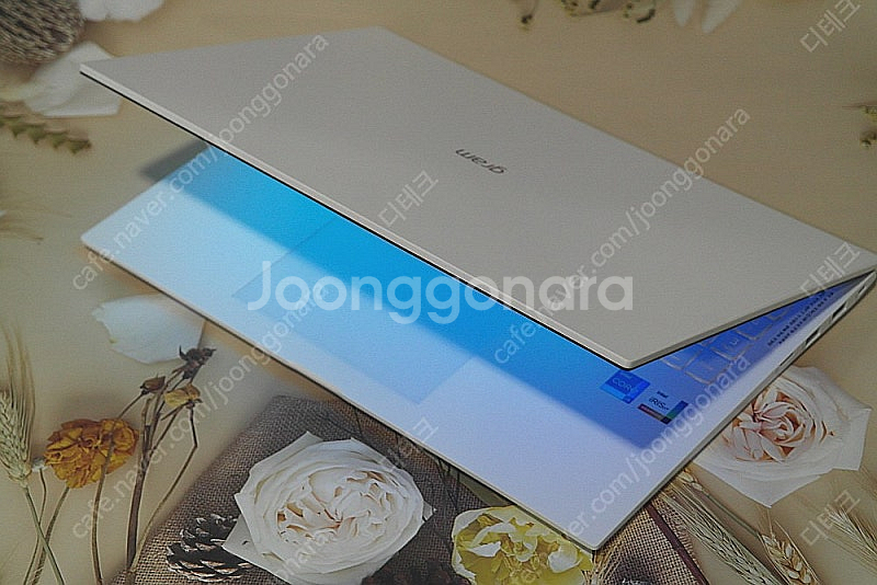 LG전자 울트라그램16 16ZD90P-GX5TK 판매합...--3